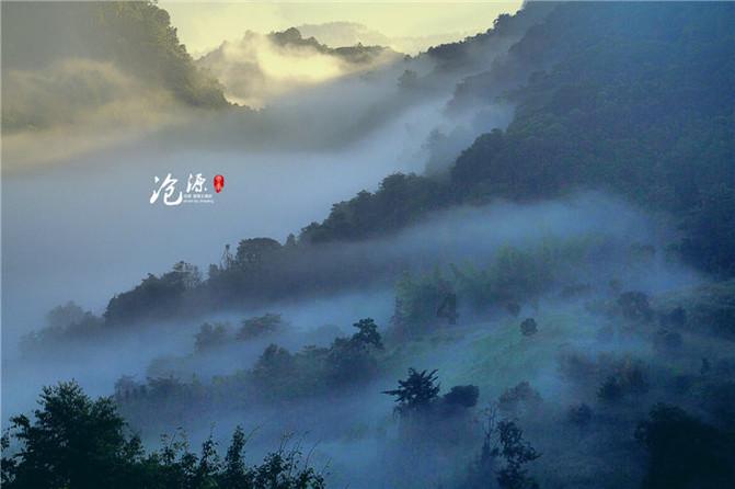 动物帮帮忙保卫家园