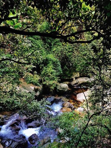山西吉县,黄河壶口段流凌堆积,景区临时关闭